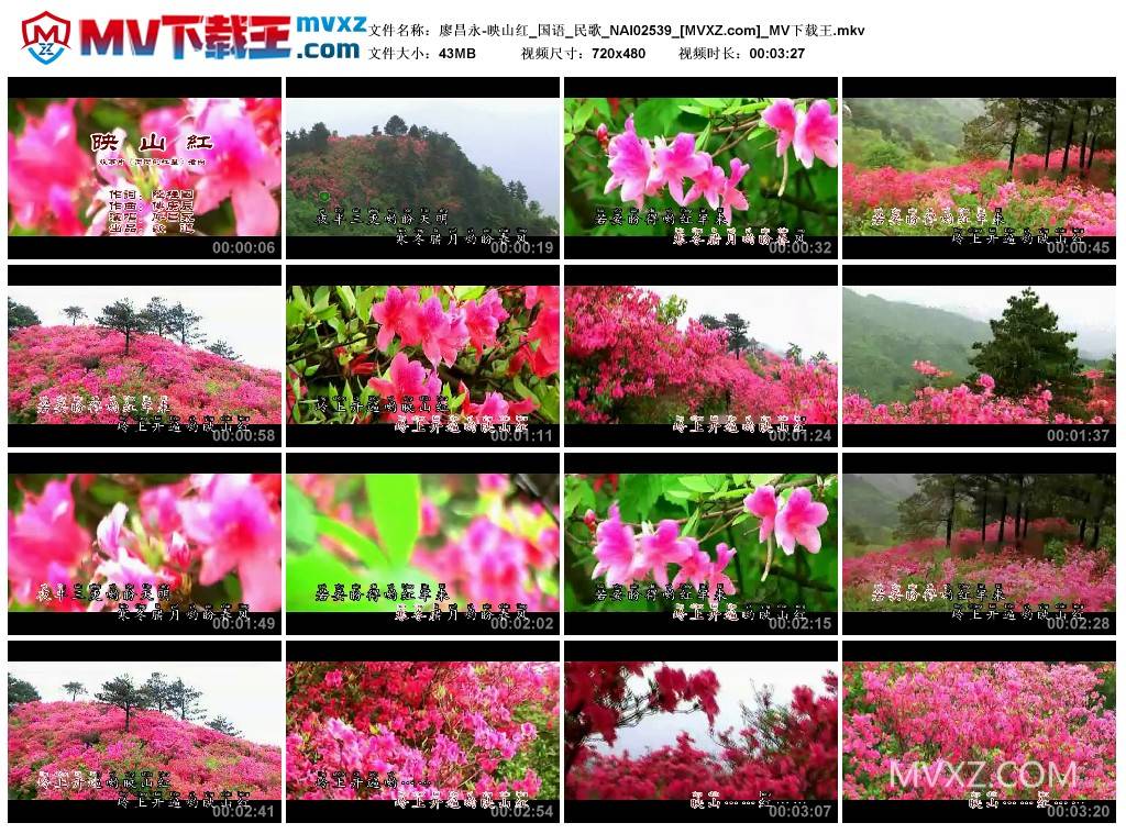 廖昌永-映山红_国语_民歌_NAI02539